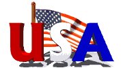 usa_flag_fireworks_mw.gif