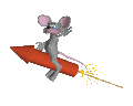 julyfourth_rocketrider_mc.gif