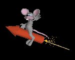 julyfourth_rocketrider_lc.gif