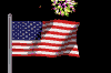 fireworks_flag_sw.gif