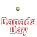 canada_day_fireworks_lw.gif