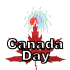 canada_day_fireworks__a_sw.gif
