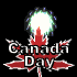 canada_day_fireworks__a_sb.gif