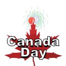 canada_day_fireworks__a_lw.gif