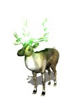 xmas_reindeer_lights_mw.gif