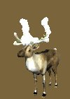 xmas_reindeer_lights_mc.gif