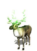 xmas_reindeer_lights_lw.gif