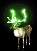 xmas_reindeer_lights_lb.gif