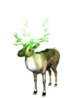 xmas_reindeer_lights_hr.jpg