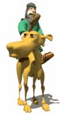 wiseman_on_camel_sear_a_lw.gif
