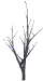 tree_out_blinking_lig_a_sw.gif