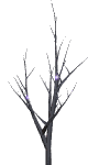 tree_out_blinking_lig_a_mw.gif