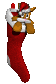 smallkitty_instocking_a_sc.gif