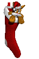 smallkitty_instocking_a_mc.gif