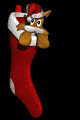 smallkitty_instocking_a_mb.gif