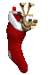 smalldog_instockingsw_a_sc.gif