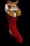 smallcat_instockinglo_a_mb.gif