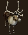 rudolph1_rednosed_mc.gif