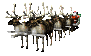 reindeer1_santashighway_sc.gif