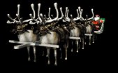 reindeer1_santashighway_lb.gif