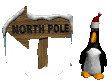 northpole_orbust_sc.gif