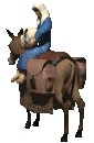 donkey1_babyjesusmary_mc.gif