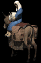 donkey1_babyjesusmary_mb.gif