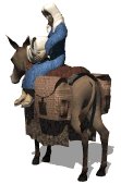 donkey1_babyjesusmary_lw.gif