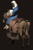 donkey1_babyjesusmary_lc.gif