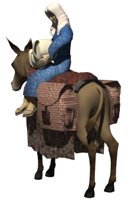 donkey1_babyjesusmary_hr.jpg