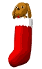 dog_in_stocking_mw.gif