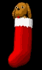 dog_in_stocking_mb.gif