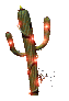 christmas_lights_cactus_mc.gif