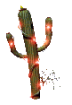christmas_lights_cactus_lc.gif
