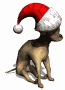 chihuahua2_christmashat_sw.gif