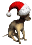 chihuahua2_christmashat_sc.gif