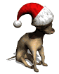 chihuahua2_christmashat_mw.gif