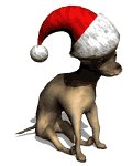 chihuahua2_christmashat_lw.gif