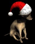 chihuahua2_christmashat_lb.gif
