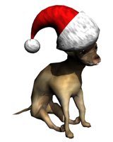 chihuahua2_christmashat_hr.jpg