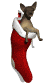chihuahua1_stuckinsto_a_sw.gif
