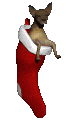 chihuahua1_stuckinsto_a_mc.gif