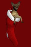 chihuahua1_stuckinsto_a_lc.gif