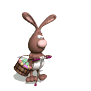 rabbit_hopping_on_pog_a_sw.gif