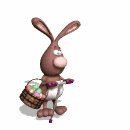 rabbit_hopping_on_pog_a_mw.gif