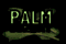 palm_sunday_text_tb.gif