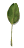 palm_leaf_swaying_tw.gif