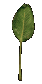 palm_leaf_swaying_sc.gif