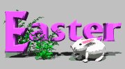 easter_bunny_mgry.gif