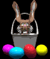 basket_bunny_mb.gif